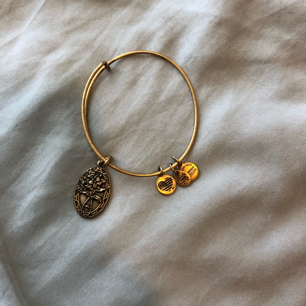 Alex and Ani Friend Bangle